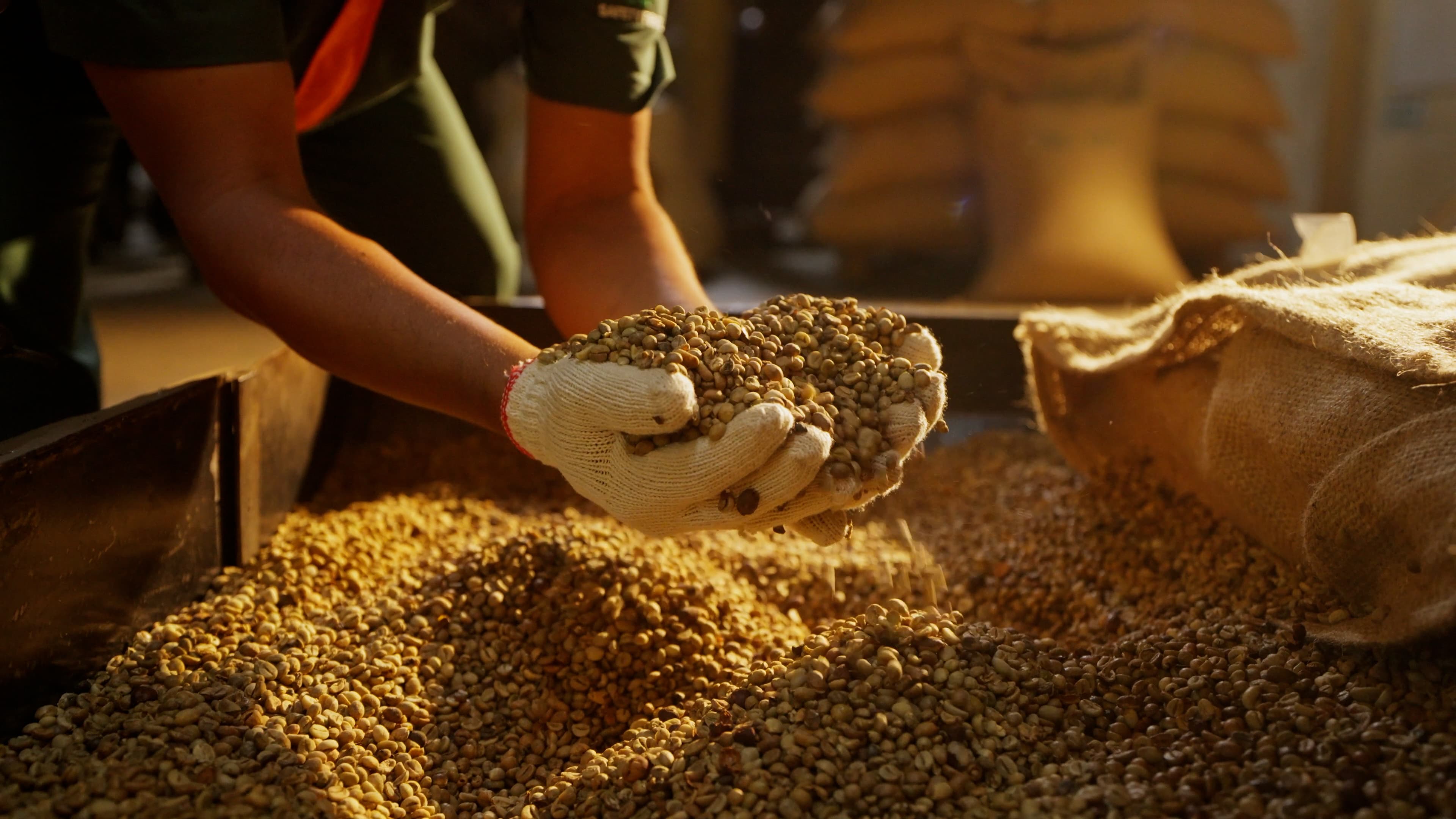 Bean Selection & Multi-Stage Cleaning