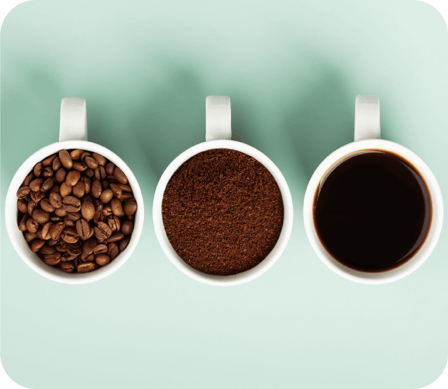Coffee processes